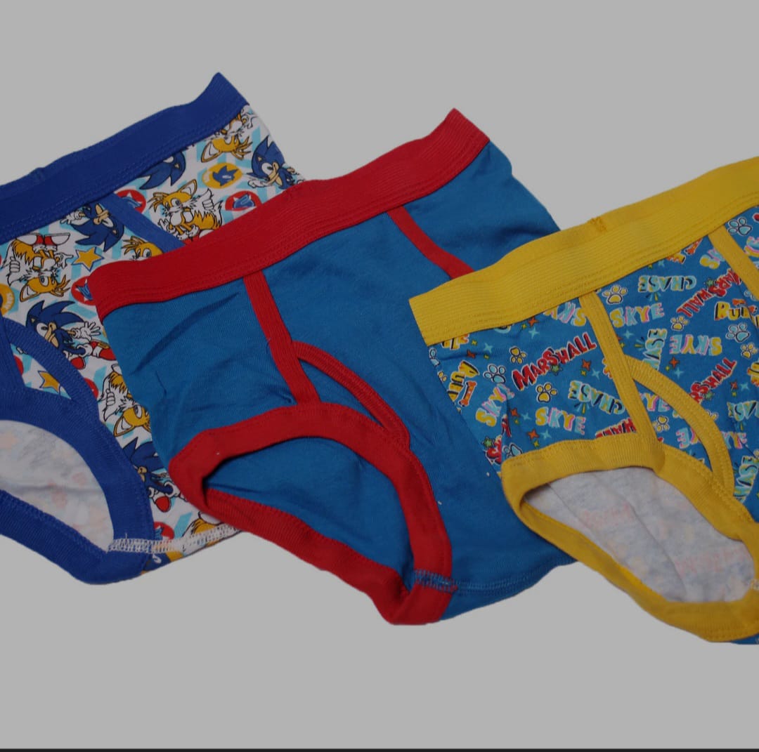 Boys’ Cartoon Printed Briefs – Pack of 3